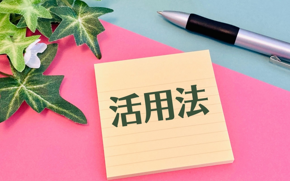 Diorマキシマイザー|イエベ秋の選び方と活用法