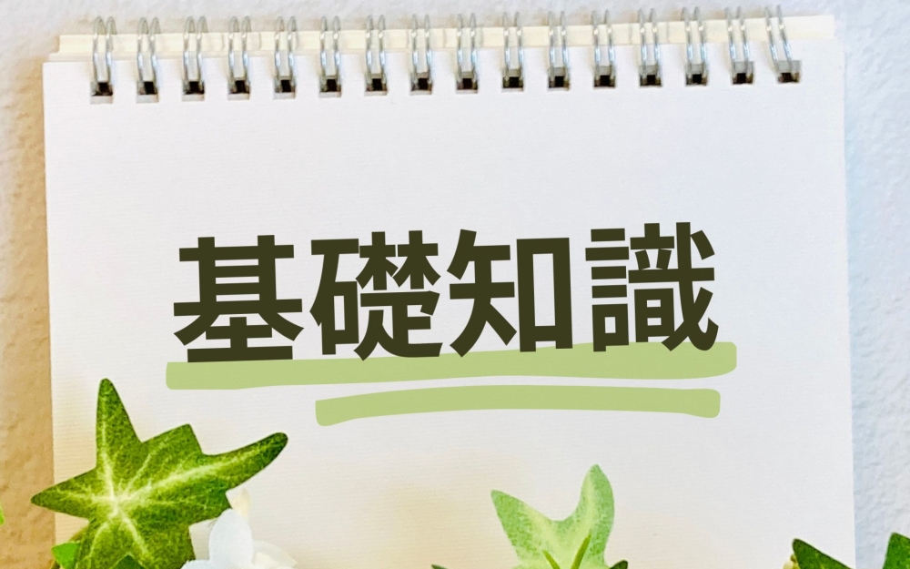 Diorマキシマイザー|イエベ秋の基礎知識